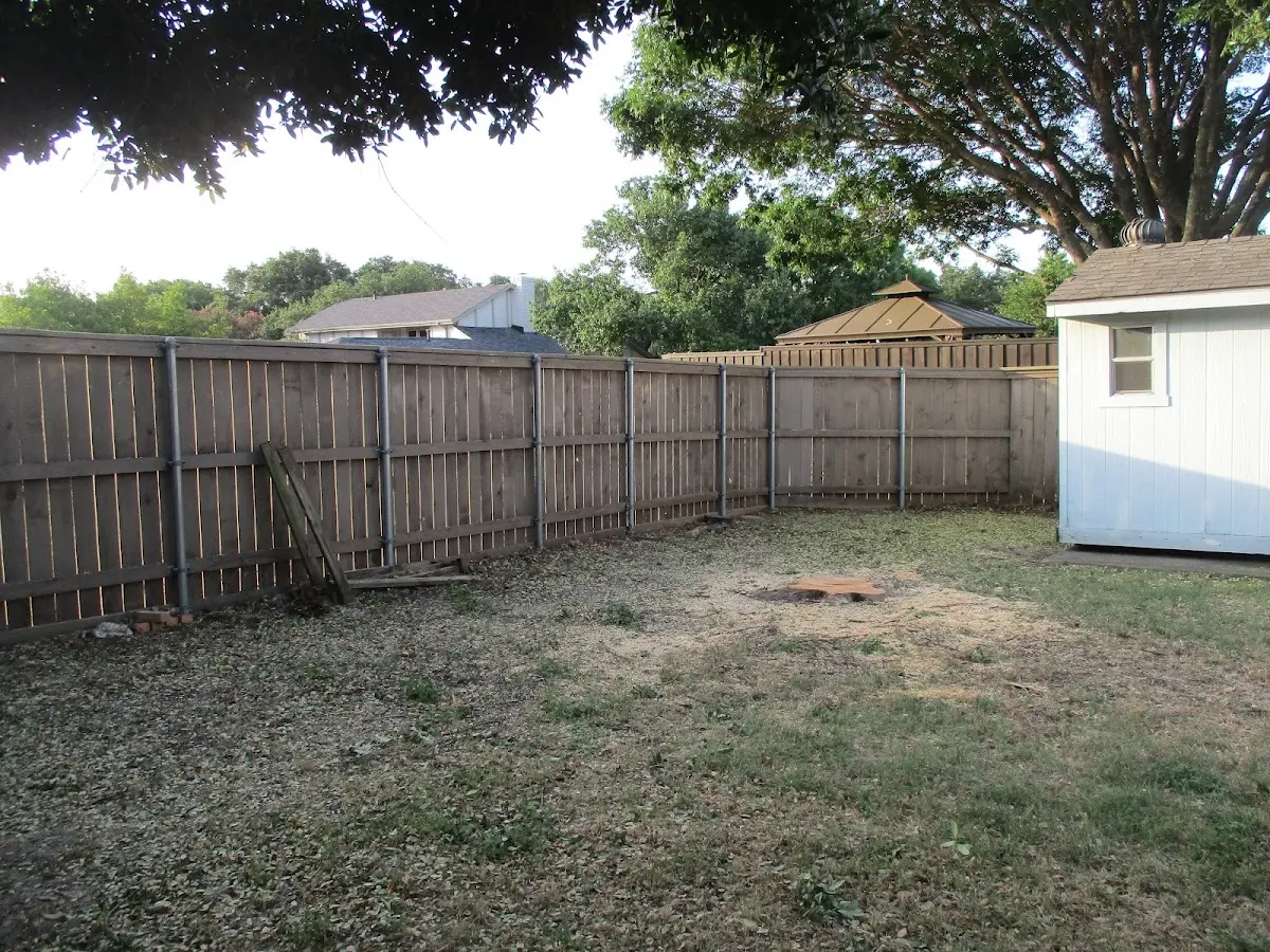 Cleared yard after professional tree removal in Adamsville