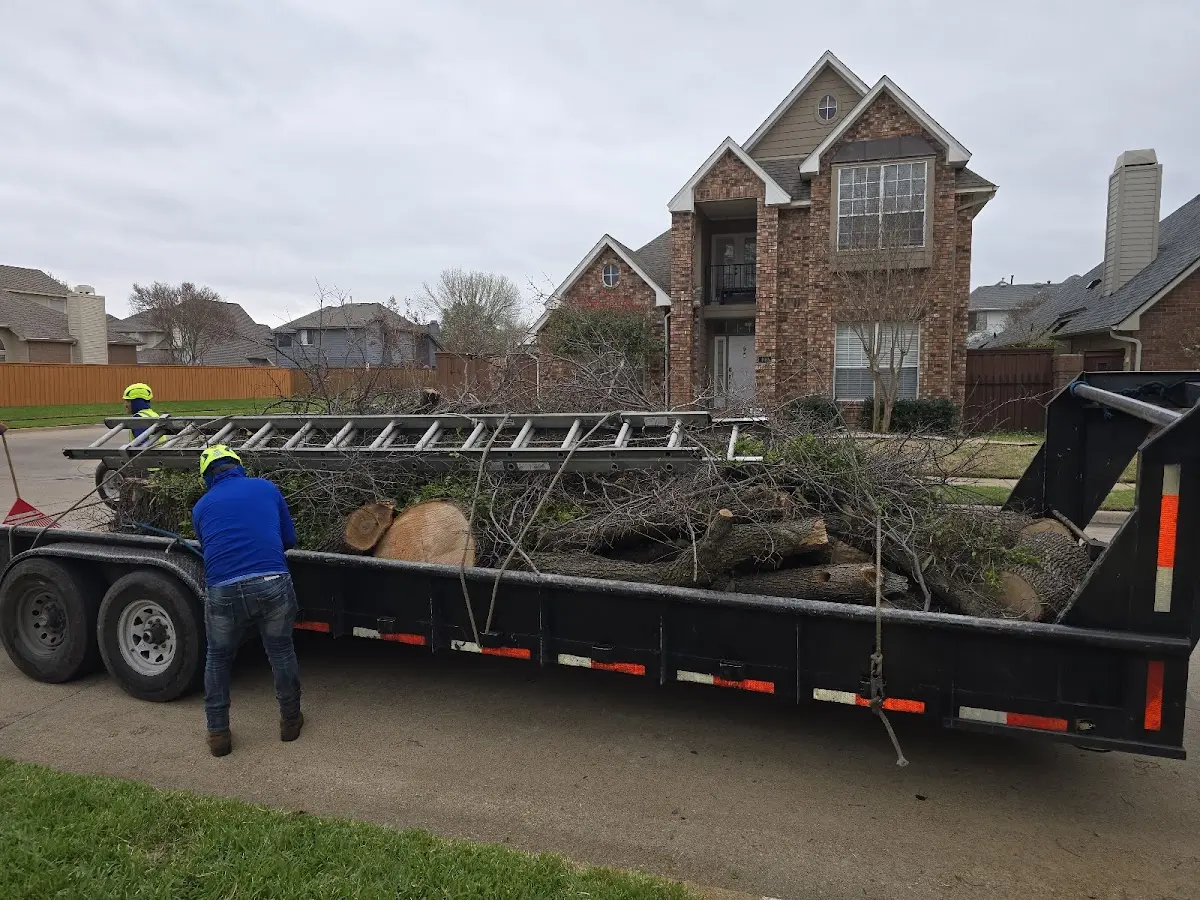 Expert Lot Clearing with proper safety equipment in Adamsville